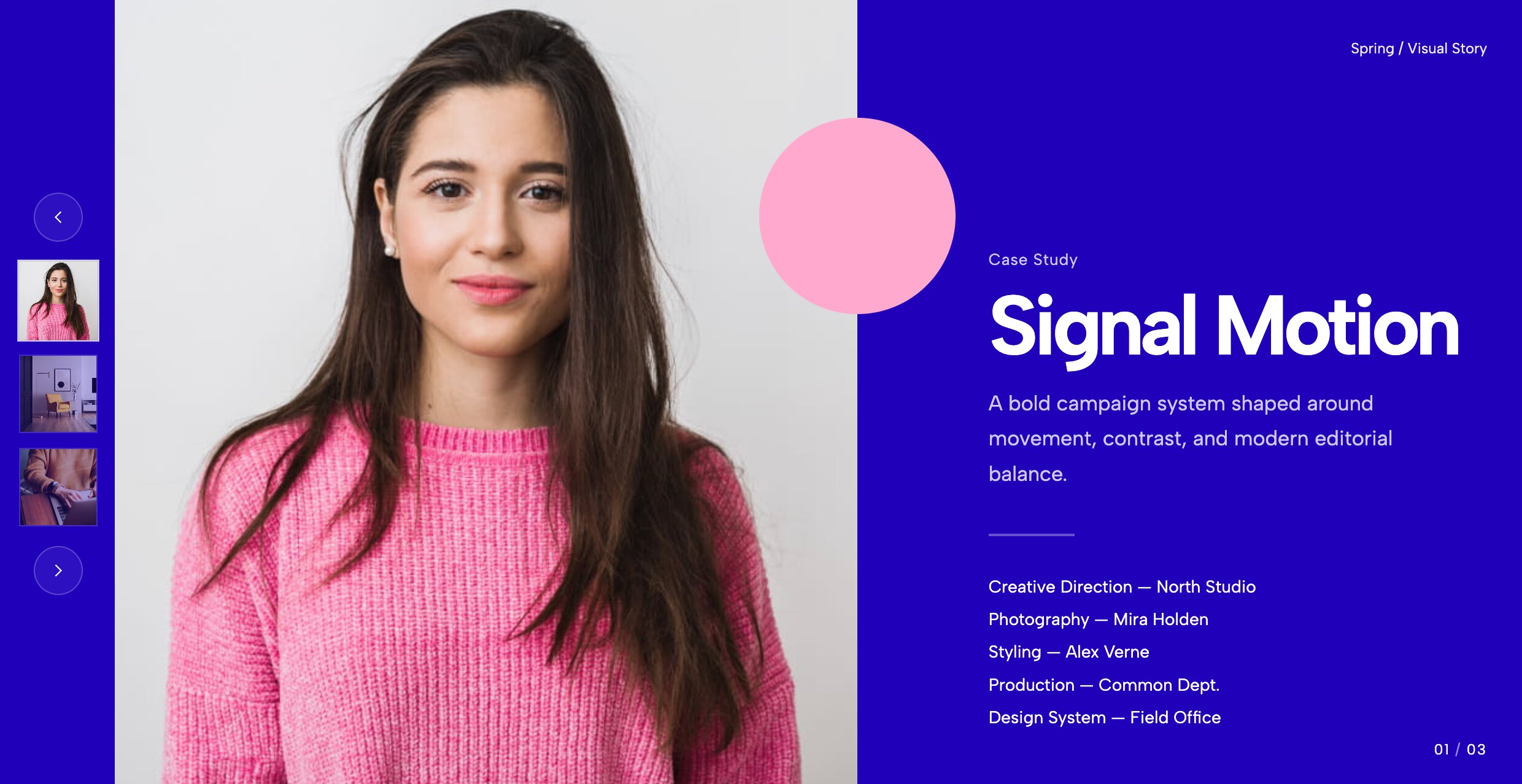 Case Study Hero Slider incorporating vertical left-side thumbnails for quick navigation