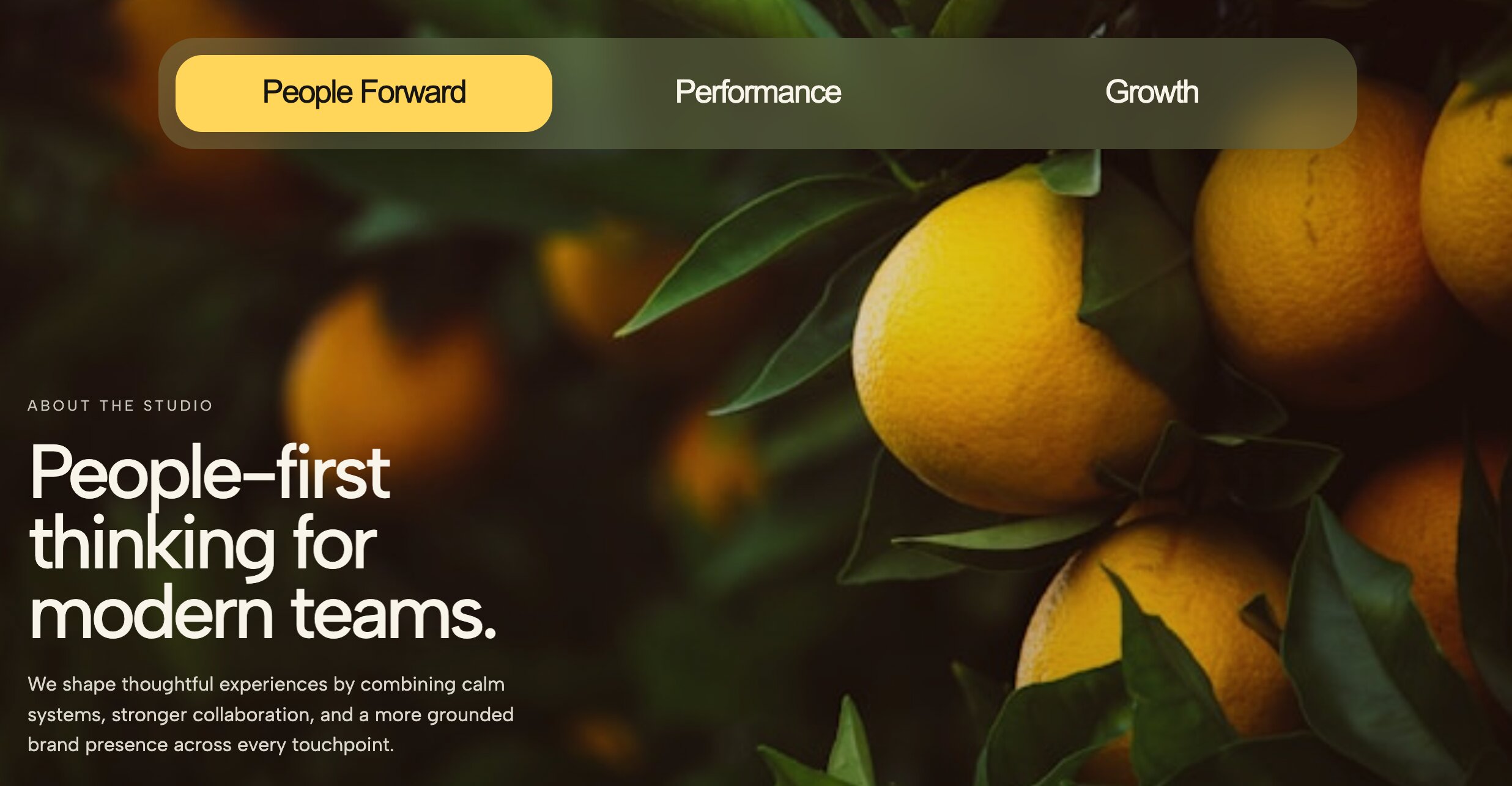 Story tabs hero template blending portrait imagery with refined typography for About pages