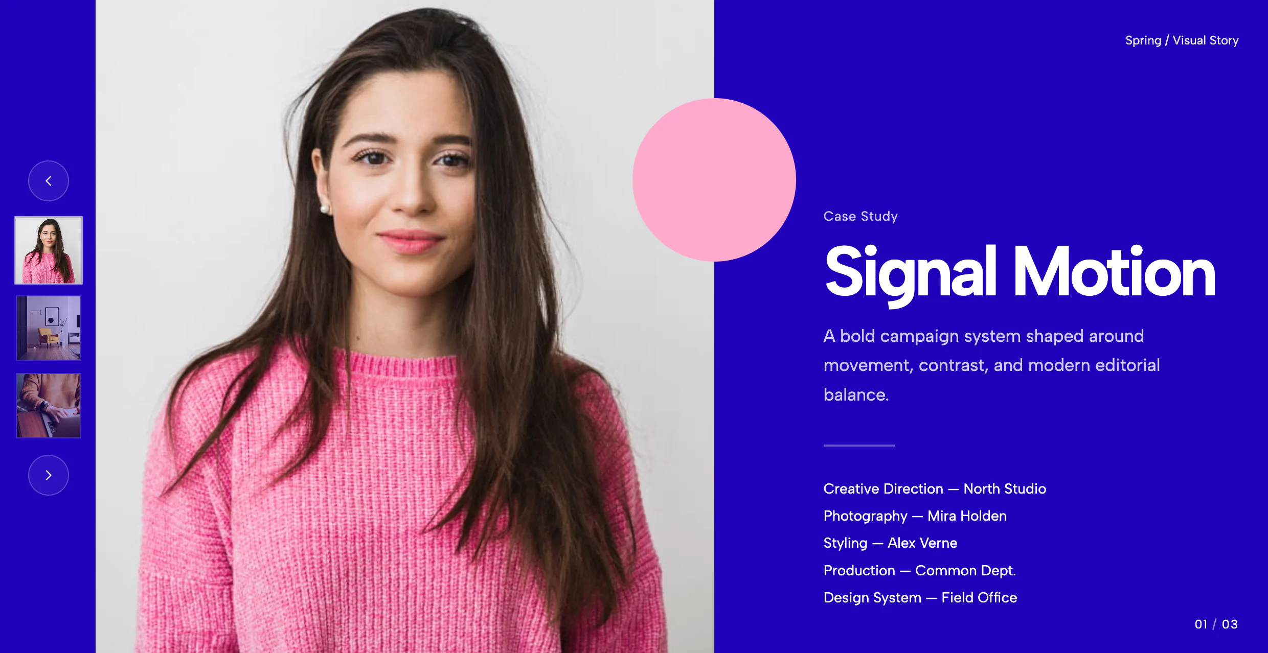 Case Study Hero Slider With Left Thumbnails