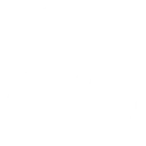 Chart Icon